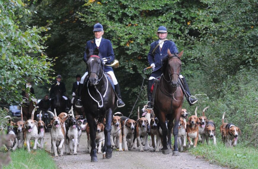 « Bye bye la chasse à courre », le samedi 30 mars 2019