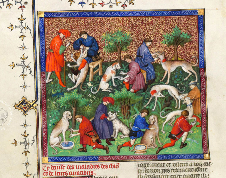 chasse à courre