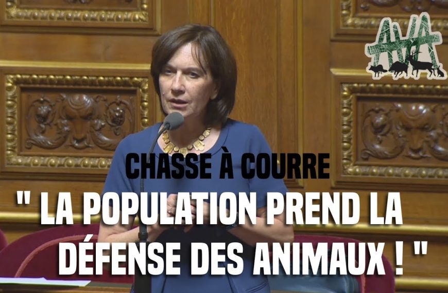 L’intervention de la sénatrice de l’Oise Laurence Rossignol contre la chasse à courre