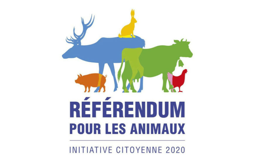 Lancement du projet «référendum pour les animaux»