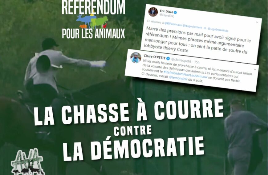 AVA: «La chasse à courre contre la démocratie»