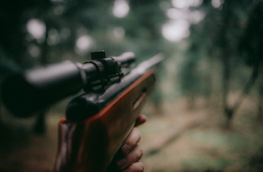 Accidents de chasse: il faut faire le procès de la chasse elle-même