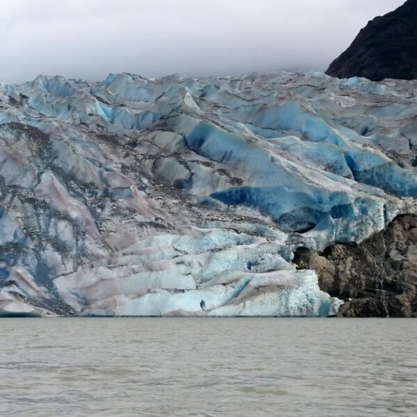 2020, année du réchauffement climatique