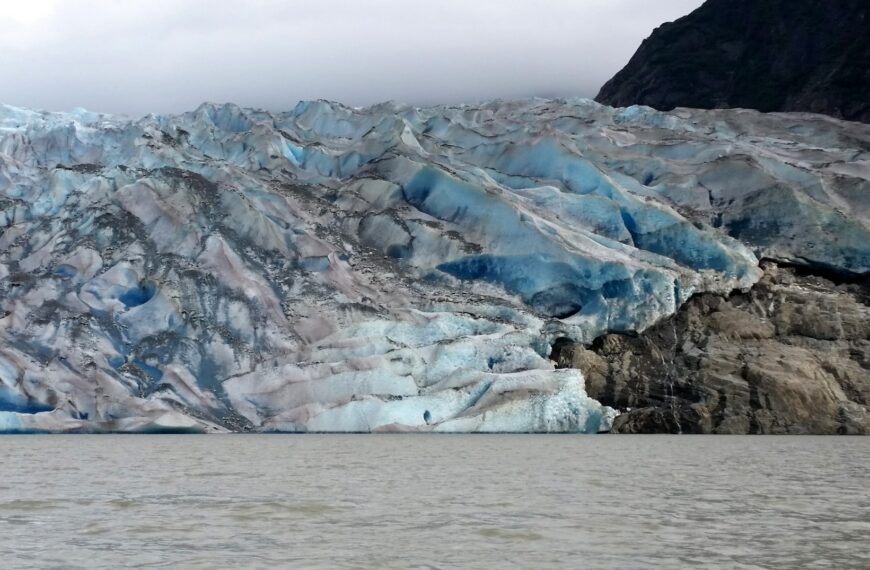 2020, année du réchauffement climatique