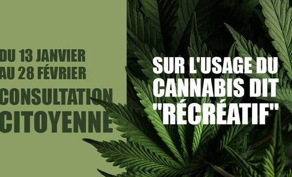 L’Assemblée nationale « consulte » sur le cannabis récréatif