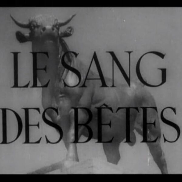 Le sang des bêtes, de Georges Franju (1949)