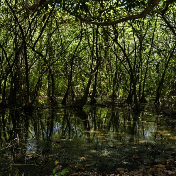 Mélenchon, Marx et la nature comme « corps inorganique de l’homme »