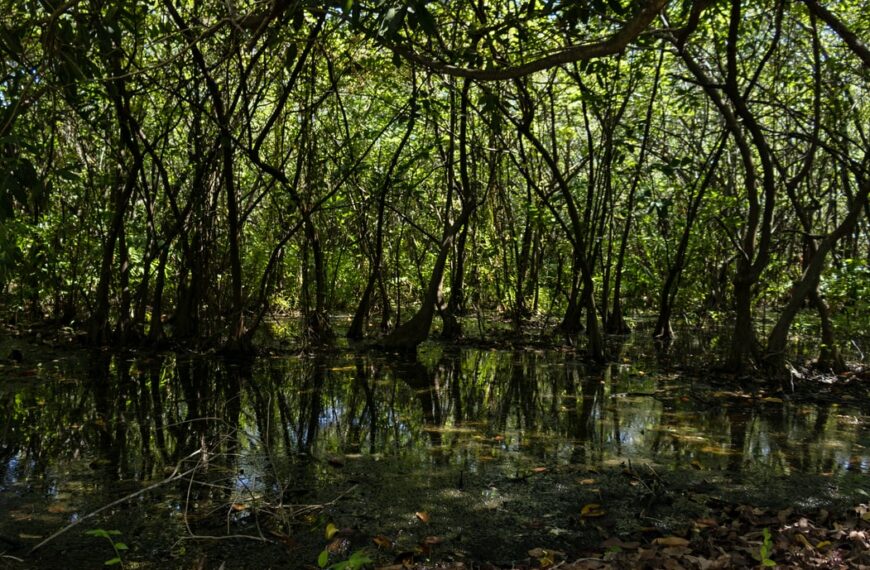 Mélenchon, Marx et la nature comme « corps inorganique de l’homme »