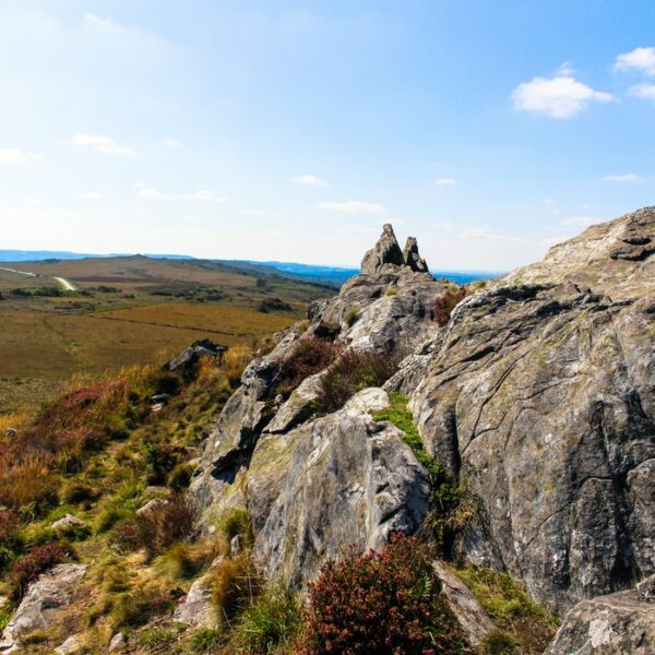 Communiqué sur les raves-partys dans les monts d’Arrée et la biodiversité