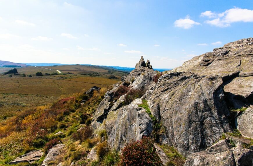 Communiqué sur les raves-partys dans les monts d’Arrée et la biodiversité