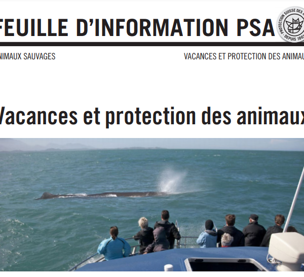 Protection des animaux sur les lieux de ses vacances: un excellent document