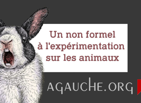 « Nouveaux aliments »: l’expérimentation animale systématique