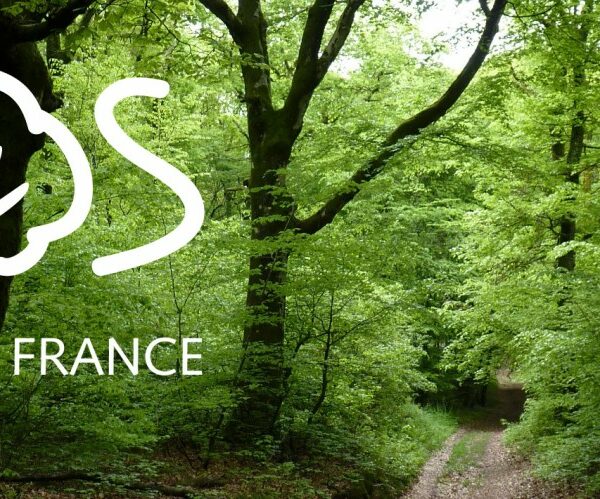 L’appel du collectif SOS forêt France