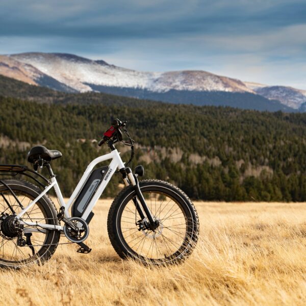 Le problème du VTT dans les Vosges