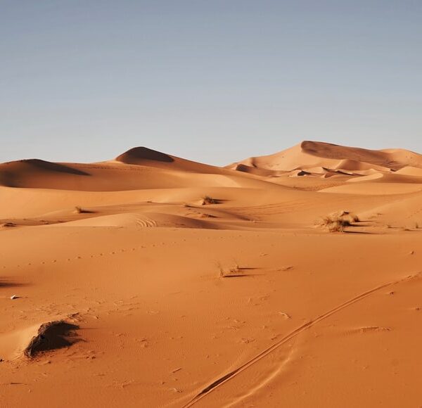 Vers l’affrontement Maroc – Algérie