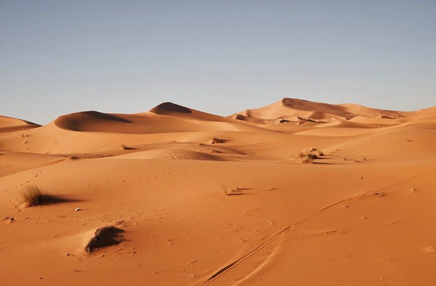 Vers l’affrontement Maroc – Algérie