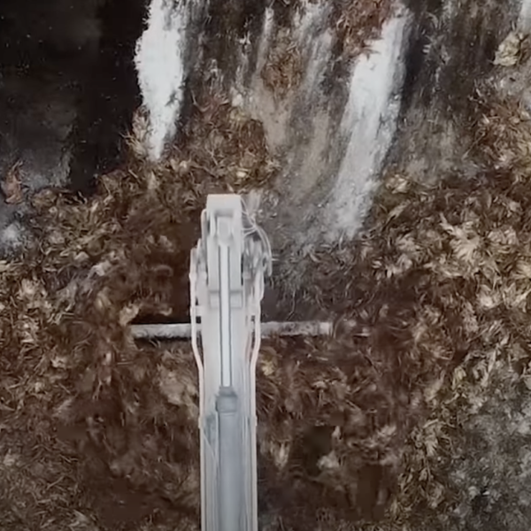 Grippe aviaire: massacre industriel de 16 millions d’oiseaux en France