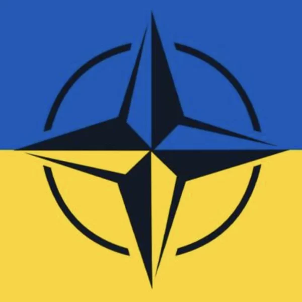 Deux Français rapportent du matériel militaire d’Ukraine