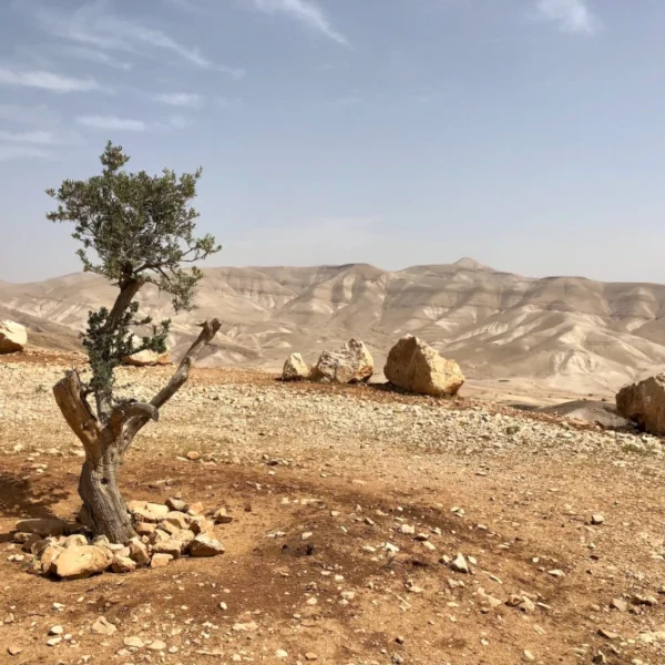 L’amer constat de la Gauche israéliene