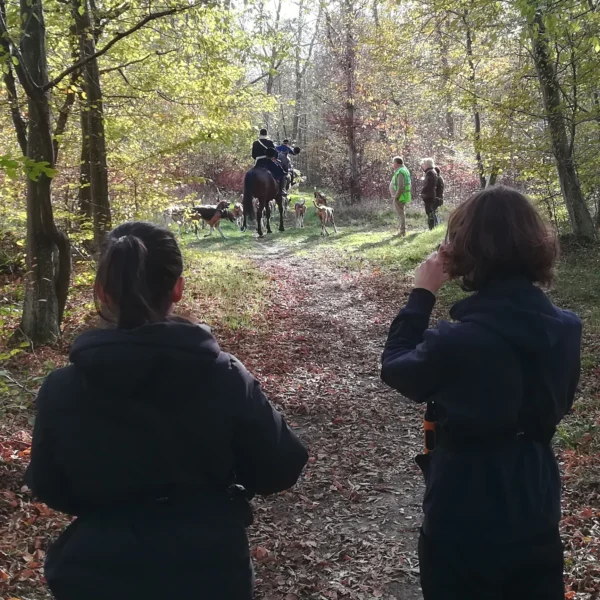 Quel horizon pour l’opposition à la chasse à courre ?