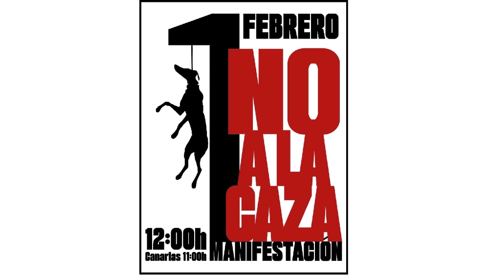 1er février 2026 : de tout cœur avec les galgos !