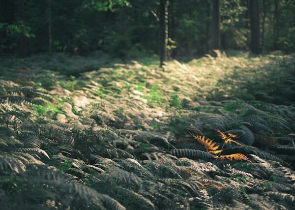 Les gens : sympas pris individuellement, odieux et superficiels en soi