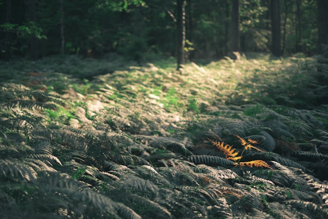 Les gens : sympas pris individuellement, odieux et superficiels en soi