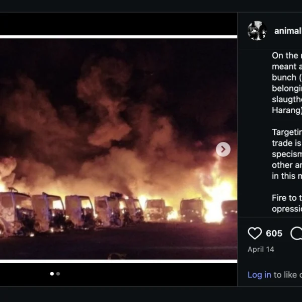17 véhicules frigorifiques d&rsquo;un abattoir incendiés à Houdan