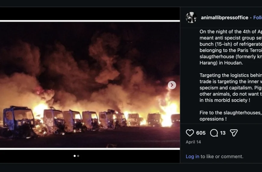 17 véhicules frigorifiques d&rsquo;un abattoir incendiés à Houdan