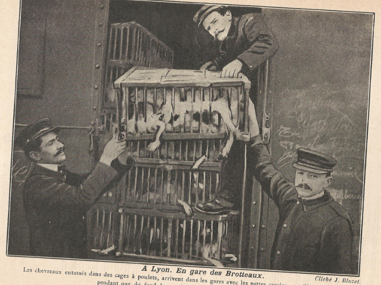 « L’enfer des bêtes » : un rapport de 1913 sur la « malfaisance envers les animaux »