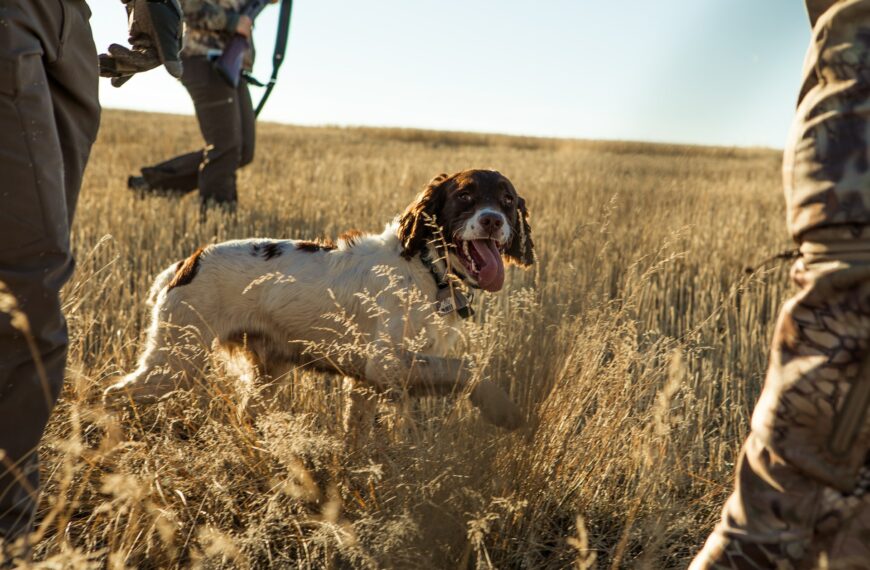 Lutte Ouvrière prend position de ne pas prendre position sur la chasse